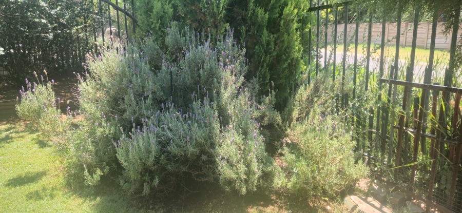 3 Bedroom Property for Sale in Langenhovenpark Free State